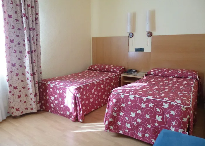 阿利萨酒店 3* 莱尔马